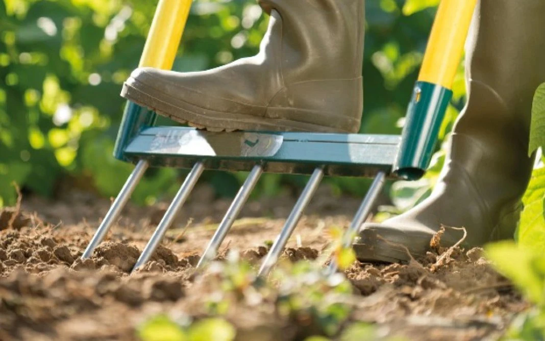 Design als Herzstück der Leborgne-Innovation