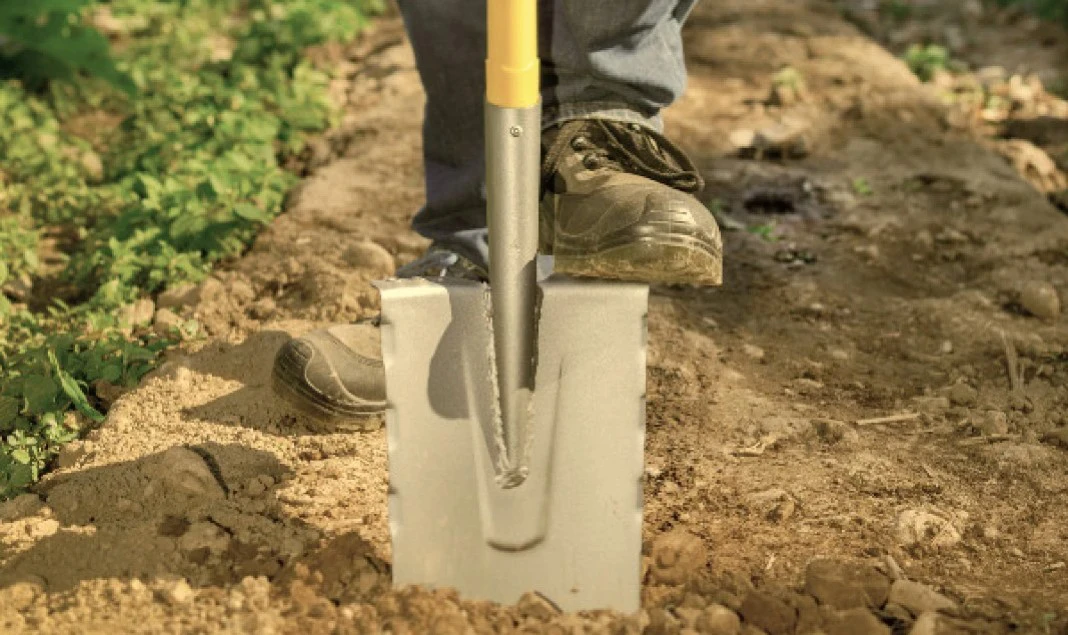 Die Nachfolge wird von Denis und François Lozac'hmeur angetreten