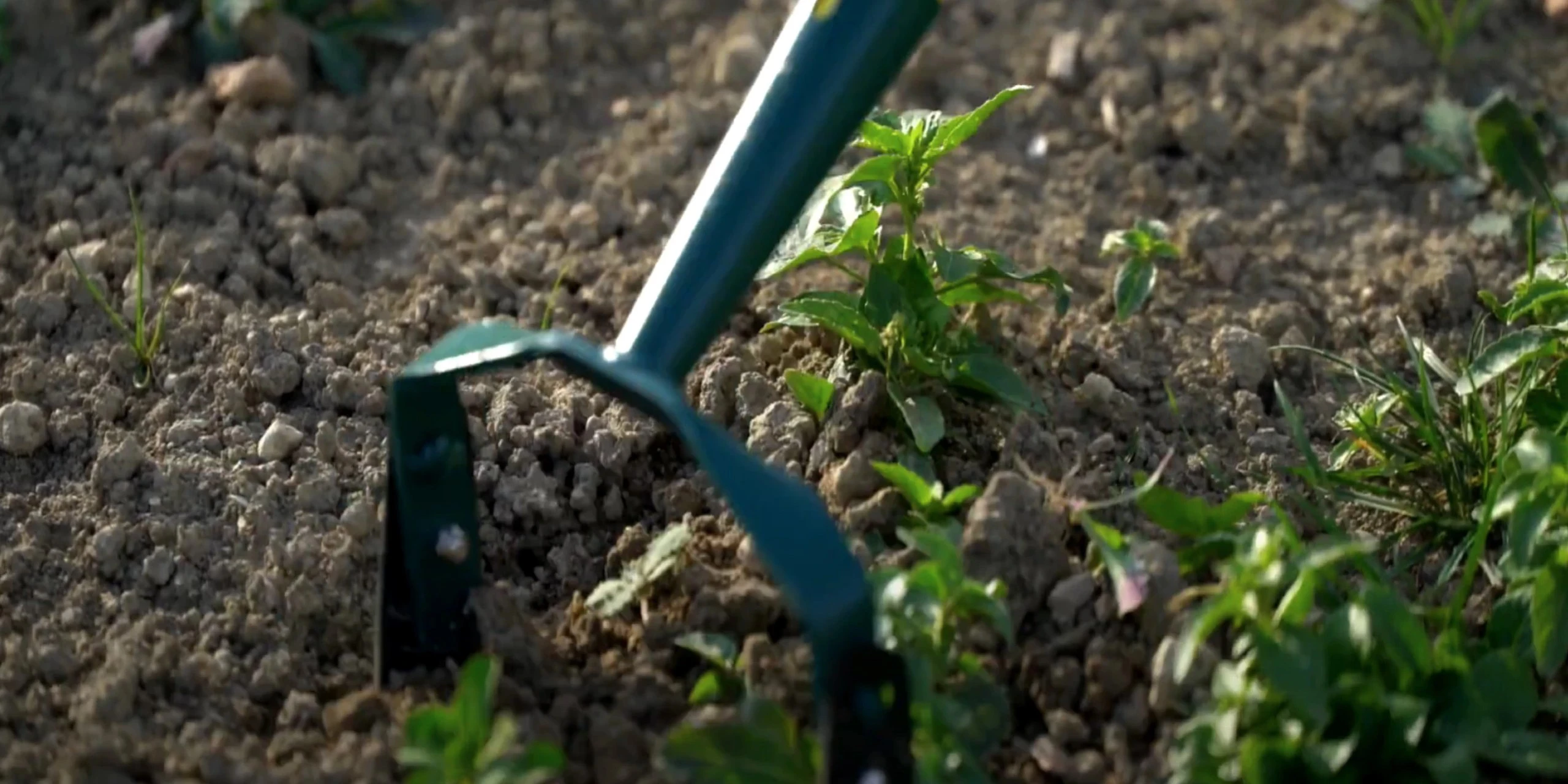 Unser Nachhaltigkeitskonzept