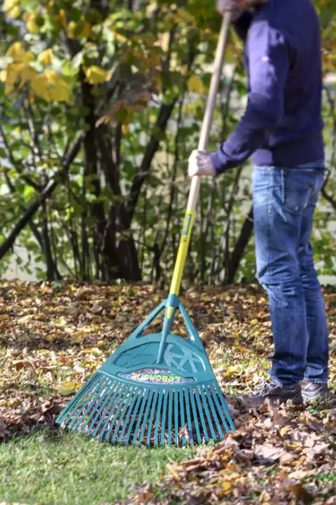 Gartenpflege